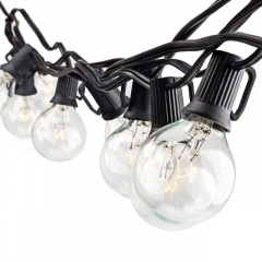 25Ft G40 Globe String Lights with 25