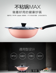 Anyfish Wok Pan with Lid, 13in Woks & Stir Fry