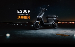 ninebot E300p