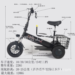 Lightweight foldable dual rear drive electric tric