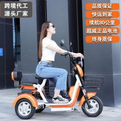 Electric tricycle household small adult mobility s