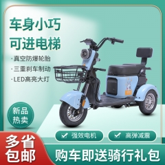 Small electric tricycles