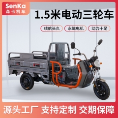 Electric tricycle mounted heavy-duty express deliv