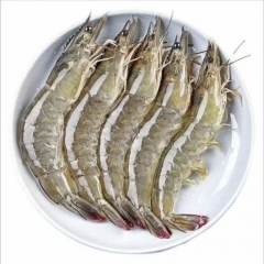 Woxianhui shrimp Domestic Qingdao prawns Green shr