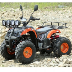 Little Bull ATV Quad Wheel Off Road Electric All O