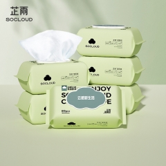 Zhiyu wet toilet paper 80 home washable wipes wet 