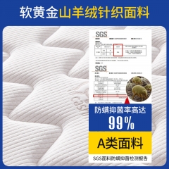 Ximengsi Mattress Independent Spring Latex Househo