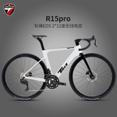 TWITTER R15 Pro Disc Brake Carbon Fiber Road Bike