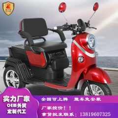 New electric tricycle small double female mini ele