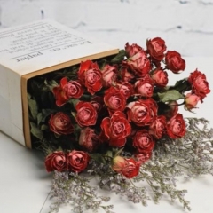 Dry red roses