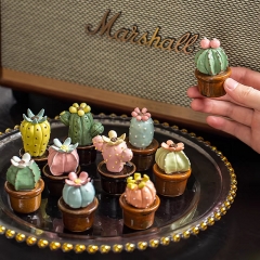 Creative ceramic succulent ornament mini