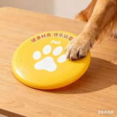 玩具飞盘