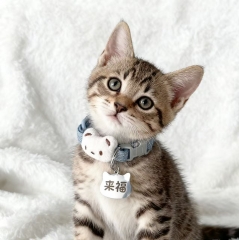 猫咪狗狗宠物项圈可定制版